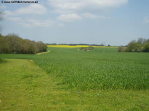 Fields near Cold Blow Farm