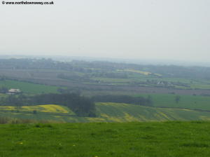 Near Partridge Wood