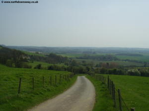 The road near Partridge Wood