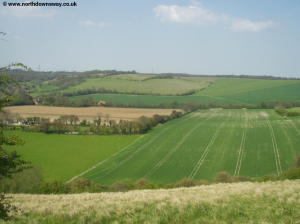 Farthing Common