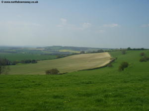 Farthing Common