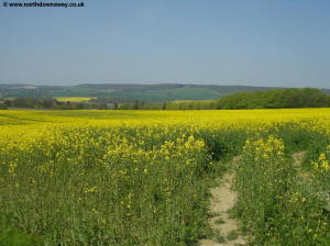 Near Wye