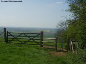 View from near Wye Crown